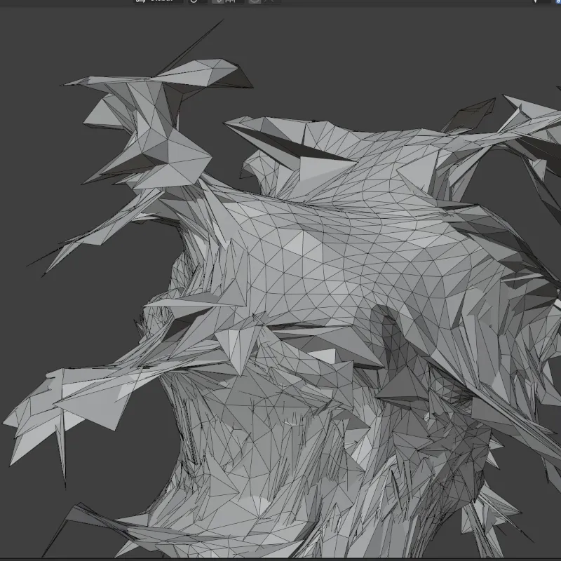 Mesh view
